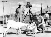 TESE: O documentário autobiográfico: o cinema de Cambridge e a obra de Ross McElwee